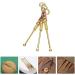 3Pcs Micro Mini Scoop Earwax Removal Kit - Tiny Gold Set Lab Spatula for Glitter Mica, Cleaning Tools - Buy Online on GoSupps.com
