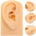 Frcolor Body Display Practice Props - Flexible Audio Simulation Training Kit for Ear Piercing Instruction 7.8x4.9cm - Buy Online on GoSupps.com