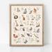 Alphabet Numbers Nursery Poster Print Animal Child Wall Art Nordic Canvas Painting Woodland Picture Kids Baby Room Home Decor 40x60cmx2 Unframed. - Buy Online on GoSupps.com