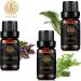 Aromatherapy Clary Sage Essential Oil Set for Diffuser 3X10ml 100% Pure Fennel Essential Oil Kit for Humidifier-Fennel Clary Sage Cypress Essential Oils Set Aromatherapy Cypress Essential Oils Kit - Buy Online on GoSupps.com