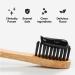 Buy My Magic Mud Activated Charcoal Toothpaste - Fluoride-Free, Whitening, Peppermint 4 oz - Buy Online on GoSupps.com