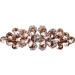 Barrettes for Women Flowers Rhinestones Crystal Hair Clips Metal Snap Hair Clips Thin Thick Hair Holder Hair Clips for Women Girls Hair Styling Accessories ( 1 pack) (Champagne) - Buy Online on GoSupps.com