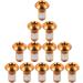 CNC 12 Pcs Orange Bicycle Disc Brake Bolts | M5x10mm MTB Rotor Bolts for 6-Bolt System | Mountain Bike Brake Bolts - Buy Online on GoSupps.com