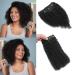 GIVLOVE Kinky Curly Clip in afro Hair Extensions Clip Ins Brazilian Remy Human Hair for Black Women Natural Color 7pieces (1b# 120g) (1b 14inch) 14inch 1b