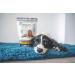ProDen PlaqueOff Dental Bites For Dogs Over 10 kg Bad Breath Plaque Tartar Package May Vary 150 g (Pack of 1) - Buy Online on GoSupps.com