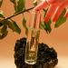 Skin&Co Roma Truffle Therapy Facial Oil 1 fl oz - Anti-Aging Nourishing Oil - Buy Online on GoSupps.com