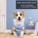 Newsbirds Dog Surgery Recovery Suit for Small Dogs - XL Blue | Post-Op Puppy Wound Protection - Buy Online on GoSupps.com