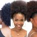 Buy Synthetic Buns Boy Wig | Afro Puff Wigs for Black Women | Stylish Ballerina Hair Accessories - Buy Online on GoSupps.com