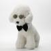 Adjustable Pet Bow Tie & Cute Sunglasses Set for Cats and Dogs - Black White - Buy Online on GoSupps.com
