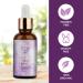 Retinol Firming Facial Serum for Wrinkles & Dark Spots | Anti-Aging Skin Care | 1 Fl Oz Night Therapy Repair - Buy Online on GoSupps.com