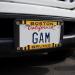 Boston Bruins Grill Stripe License Plate Tag Frame - Buy Online on GoSupps.com