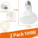 REPTI HOME Reptile Heat Lamp 2 Pack 100W Reptile Heat Lamp Bulbs Amphibian Terrarium Basking Spot Lamp for Reptile Bearded Dragon Lizard Turtle Snake - Buy Online on GoSupps.com