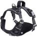Funfox Adjustable No Pull Dog Harness for Small & Medium Dogs - Breathable Safety Harness | Anti-Zug Design | Perfect for Pups - Buy Online on GoSupps.com