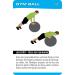 Stop!Fitness Gymnastics Ball & Training Cards | German Version | International Shipping Available - Buy Online on GoSupps.com