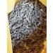 Sun Dried Kombu Cut kelp Silk 250g - Buy Online on GoSupps.com