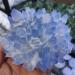 Natural Crystal Rough Home Decoration 1pcs 300-700g Rare Beautiful Blue Ghost Phantom Quartz Crystal Cluster Specimen Stones (Size : 400-500g) - Buy Online on GoSupps.com