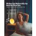 DEKALA Light Alarm Clock - Sunrise Sunset Simulation Dual Alarms Natural Sounds Slumber Function - Classic Full Screen Design for Adults & Kids - Buy Online on GoSupps.com