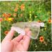 Yardwe 4 Pcs Fruit Shaping Mold Vegetables Vegetable Mould Fruit Growth Tools Cucumber Gardening Supplies - Buy Online on GoSupps.com