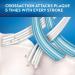 Oral-B CrossAction Deep Reach Soft Toothbrushes - 4 Count Pack - Buy Online on GoSupps.com