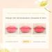 Novo Color-Changing Flower Lip Balm - Hydrating Moisturizing Lip Balm with Temperature-Sensitive Tint Non-Stick Smudge-Proof Natural Glow for All Skin Tones Gift-Ready Blue Rose (3.3g) - Buy Online on GoSupps.com