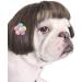 Trimmable Dog Wigs for Small Medium and Large Dogs Cosplay Pet Funny Headwear Costumes  Cat Wigs Dress up Decorations for Halloween  Christmas  Parties  Festivals Black Brown Straight Hair - Buy Online on GoSupps.com