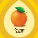 Pledge Beautify It Orange Polish Spray - Dust and Fingerprint Remover with Glossy Coating (9.7 oz) - Buy Online on GoSupps.com