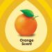 Buy Pledge Granite and Marble Cleaner Spray - Citrus Sunshine 9.7 oz | Effective International Shipping - Buy Online on GoSupps.com