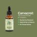 ORE Mexican Oregano Oil Drops 1 oz | 80% Carvacrol | Wildcrafted Herbal Extract for Immune & Respiratory Support | Natural Liquid Supplement | Non-GMO | Dropper Bottle - Buy Online on GoSupps.com