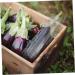 Happyyami 2pcs Vegetable Shaping Square Tool Cucumber Fruit Mushroom Pentagram - Buy Online on GoSupps.com