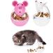 Fantasyon 2 Pcs Cat Treat Toy Feeder Toy Cat Food Ball Pet Toy Cat Slow Feeder Ball for Interactive IQ Treat Training Toy Cat Treat Ball - Buy Online on GoSupps.com