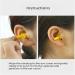 5 Pairs Of Soundproofing Earplugs Noise Reducing Earplugs Fit Compatible Travel Sleeping Work 1 count (Pack of 1) - Buy Online on GoSupps.com