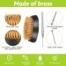 CfoPiryx Flower Frog and Pin Holder Set - 5pcs Metal Flower Arrangers with Needle Straightener - Plant Decoration Fixation Kit - Buy Online on GoSupps.com