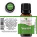 Plant Therapy Spearmint Essential Oil 10 mL - 100% Pure Undiluted Therapeutic Grade | International Shipping Available - Buy Online on GoSupps.com