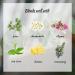 4 Pack Lavender Jasmine Vanilla Eucalyptus Essential Oil Sets Essential Oil Set 10ml - 100% Pure Essential Oils Set for Aromatherapy Kit Lavender + Jasmine + Vanilla + Eucalyptus 10 ml (Pack of 4) - Buy Online on GoSupps.com
