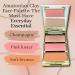 Buy Tarte Amazonian Clay Party Palette Cheek Set - International Shipping Available | Shop Now - Buy Online on GoSupps.com