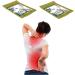 Pack of 20 Pain-Relief Patches | Effective Muscle & Joint Pain Relief Back Pain & Strain Soothing Solution - Buy Online on GoSupps.com