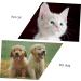 Angoily 2pcs Supplies Tools Cleaners Tooth Pets Teeth Manual Cat Portable Puppy Home Dog Care Soft-bristle 1 count (Pack of 1) White - Buy Online on GoSupps.com