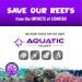 Spearfishing Diving Pole Spear - Aquatic Hunt 36 Lionfish Spear with Non-Barbed Tip - Buy Online on GoSupps.com