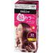 Kao Blaune Bubble Hair Color For Gray Hair 3B - Bordeaux Brown (Green Tea Set)
