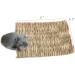 Grass Mat Woven Bed Mat for Small Animal Bunny Bedding Nest Chew Toy Bed Play Toy for Guinea Pig Parrot Rabbit Bunny Hamster Rat(Pack of 3) (3 Grass mats) Basic - Buy Online on GoSupps.com