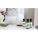 NOW Foods Mental Focus Oil Blend - 30ml Essential Oil for Concentration & Clarity - International Shipping Available - Buy Online on GoSupps.com