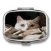 Pill Box White Cat and Pile of Dollars Print 2 Compartment Medicine Pill Case Pill Organizer Decorative Metal Portable Pill Box for Pocket Or Purse Style