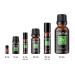 Davina Entice Essential Oil Natural Fragrance 10ml Rollerball - Buy Online on GoSupps.com