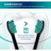 Derffin Replacement Toothbrush Heads 8 Pack Standard Brush Heads Compatible with Philips Sonicare Electric Toothbrushes Fit The Models of HX3/HX6/HX9/HX8/HX7 Series (Black) B8 Black - Buy Online on GoSupps.com