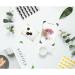 WXJ13 Photo Mounting Corners - 13 Colors, Self Adhesive for Scrapbooking & Picture Albums | Pack of 13 Sheets - Buy Online on GoSupps.com
