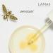 LAMAII Radiance Nourishing Body Oil Body Moisturizer with Grapeseed Oil Jojoba Oil & LARVOGEN BIOTECH Silky Smooth Firming & Hydrating Body Oil for Women & Men Pure Glow & Silky Finish - 120 ml - Buy Online on GoSupps.com
