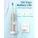 Sonic Electric Toothbrush for Adults and Kids - 8 Replacement Heads, 5 Modes, 120-Day Use, 3-Hour Charge - Rose Gold, 1 Count - Buy Online on GoSupps.com