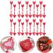 Didiseaon 20pcs Valentine's Day Cake Inserts Fruit Cake Bridal Shower Picks Appetizer Toothpicks Decorative Cake Inserts Red Decor Paper Cups Birthday Cake Decoration Dessert Arrow - Buy Online on GoSupps.com