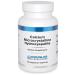 Douglas Laboratories Calcium Microcrystalline Hydroxyapatite | Bioavailable Source of Calcium Derived from Whole Bone | 90 Tablets 90 Count (Pack of 1)