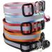 Maiyaduo Adjustable Cat Neck Band with Bell Reflective Fluorescent & Quick Lock Safety Buckle for Domestic Cats - Buy Online on GoSupps.com